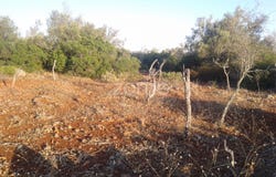 Silves, Algarve