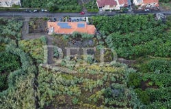 Paúl Do Mar, Madeira 9370