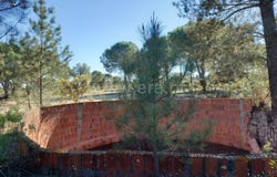 Comporta, Setúbal 7580