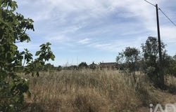 Colmeias e Memória, Leiria 2420
