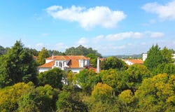 Vila De Cucujães, Aveiro Municipality 3720