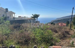 Arco Da Calheta, Madeira 9370