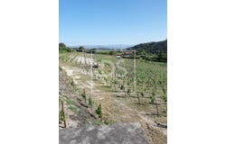 Baião, Porto District