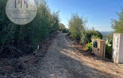 Monchique, Algarve 8550
