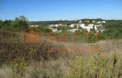Soure, Coimbra District