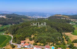 Pedralva, Braga