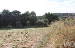 Coimbra, Coimbra District