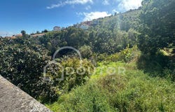 Gaula, Madeira
