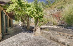 Gozundeira, Sobral de Monte Agraço, Lisboa