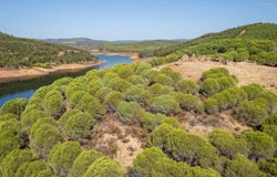 Faro, Algarve 8600-069