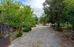 Figueiró Da Serra, Guarda 6290