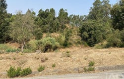 Leiria, Leiria District
