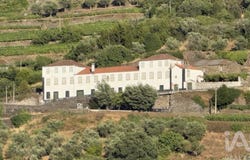 Vilarinho Dos Freires, Vila Real 5050
