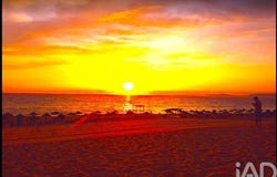 Comporta, Setúbal 7580
