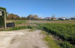 Murtosa, Aveiro District