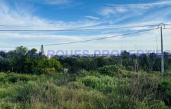 Quelfes, Algarve 8700