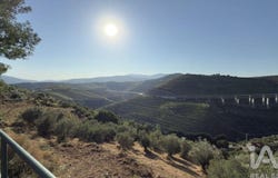 Vilarinho Dos Freires, Vila Real 5050