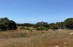 Grândola, Setubal 7570-401