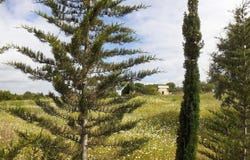 Santa Luzia, Algarve 8800