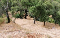 Alferce, Algarve 8550