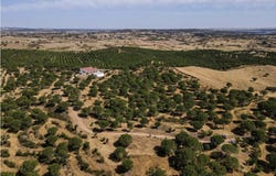 Ourique Municipality, Beja 7670