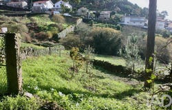 Braga, Braga