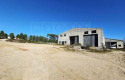 Pelariga, Leiria 3105