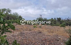 Boliqueime, Algarve 8100