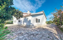 Pinhal Novo, Setubal