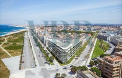Porto, Porto District