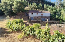 Madeirã, Castelo Branco 6160