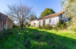 Rua da Escola, Cela, Leiria District 2460-358