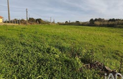 Cela, Leiria 2460