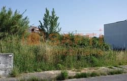 Marrazes e Barosa, Leiria District