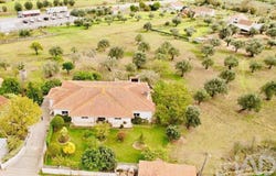 Pelariga, Leiria 3105