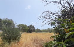 Paderne, Algarve 8200