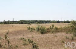 Pegões, Setúbal 2985