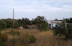 Lagos, Faro
