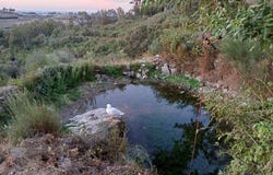 Figueiró Da Serra, Guarda 6290