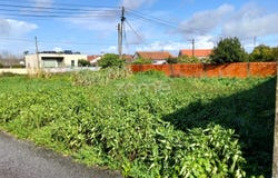 Vagos, Aveiro District