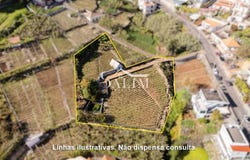 Canhas, Madeira 9360