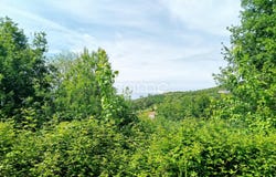 Seia, Guarda District