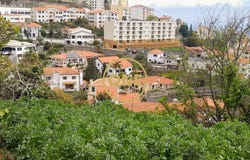 CANIÇO, Madeira