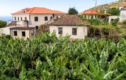 Arco Da Calheta, Madeira 9370