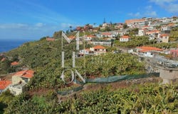 FUNCHAL, Madeira