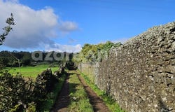 Fajã de Baixo, Azores
