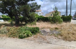 Setúbal, Setubal
