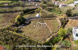 Canhas, Madeira 9360