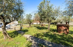 Minde, Santarém 2395
