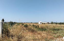 Santarém, Santarém District